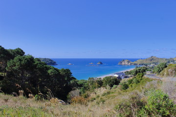 Fototapeta na wymiar Ausblick auf den Pazifik Coromandel NZ