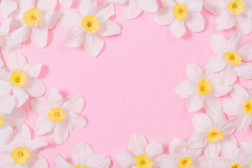 Naklejka na ściany i meble white narcissus on pink paper background