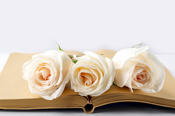 Blank open diary (notebook, sketchbook) decorated with white roses with space for text or lettering. Concept of writing letter, wishes, goals, plans, life story. Close up mockup spring composition
