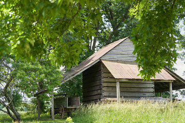 wooden house in the woods