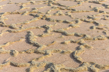 detail of soil in Saline in Lanzarote