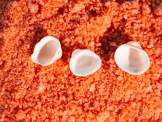 Orange bath salt with shells. Spa, relaxed, summer.