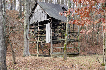 old barn in the woods