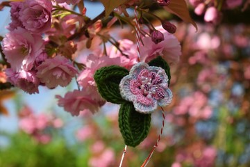 Handmade crocheted flower, with a red and white string, known as Martisor, on a blossoming cherry...