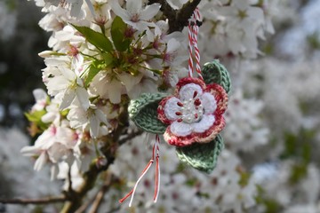 Handmade crocheted flower, with a red and white string, known as Martisor, on a blossoming cherry...