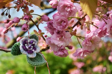 Handmade crocheted flower, with a red and white string, known as Martisor, on a blossoming cherry...