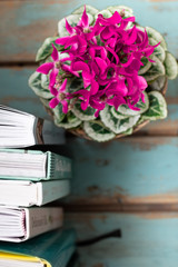 Overhead view of a pink cyclamen bouquet beside some vertical books on a wooden table.