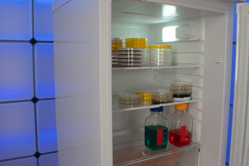 Petri dishes with samples of microorganisms in a laboratory refrigerator