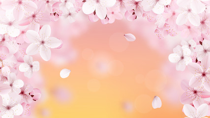 Obraz na płótnie Canvas Beautiful print with blossoming light pink sakura flowers