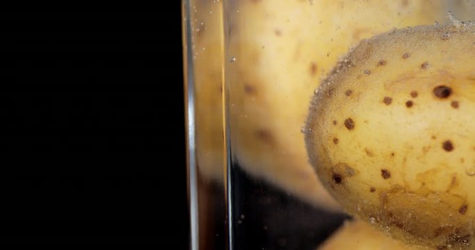 Unpeeled potatoes under water with air bubbles.