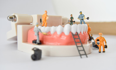 miniature people to repair a tooth or small figure worker cleaning tooth model as medical and healthcare. Idea for cleaning dental care or dentist.