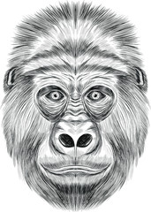 funny gorilla black and white sketch coloring book