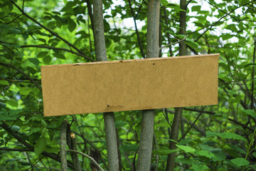Forest blank sign nailed to a tree. Forest Blank Sign without text