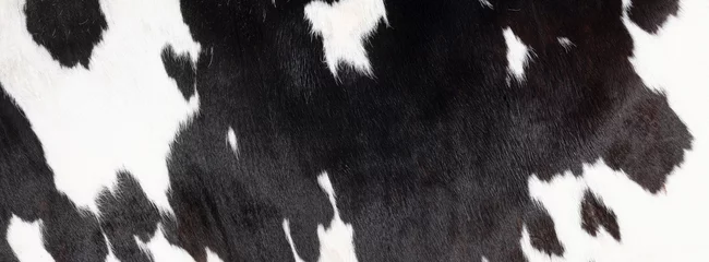 Foto op Canvas close-up van een deel zwart-wit huid van gevlekte koe © ahavelaar