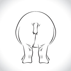 Vector image of an Hippopotamus on white background.