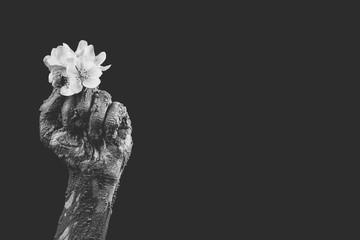 male hands in dried clay with a beautiful flower