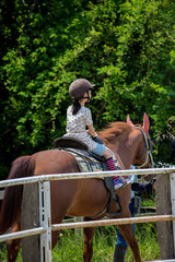 牧場で乗馬体験している可愛い子供