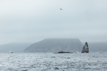 Fototapeta premium Cliffs in the pacific ocean