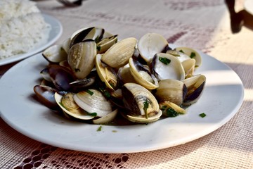 manila clam for lunch.