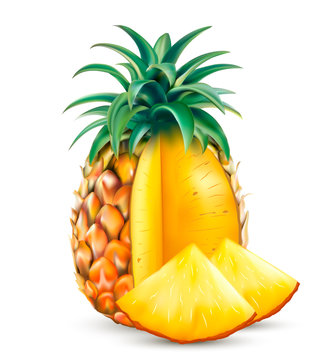 Vector ripe cut pineapple and slices pineapple. Realistic fruit isolated on a white background.