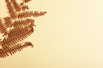 Autumn fern leaves isolated on yellow background with copy space. Horizontal orienattion. Minimalistic style.
