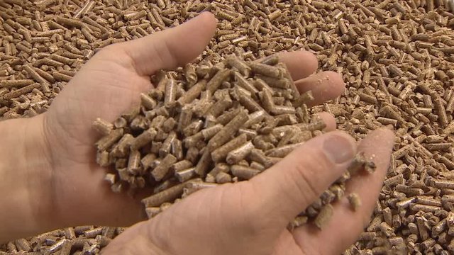 Compound feed in animal husbandry. Feed warehouse for feeding chickens and birds, feeding cows, pigs, pets.