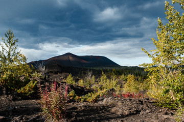 Kamchatka nature near the volcano