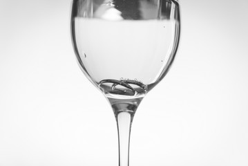 wedding rings in a glass of champagne in black and white