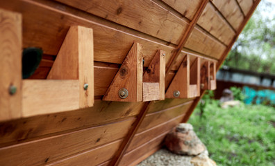 Apiary with wooden beehives in summer forest
