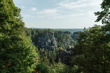 Morning View of Sandstone Rocks in Saxon Switzerland in summer, Germany, Dresden. Green landscape on untouched nature, rocks with trees. Background. Nature of Europe. Copy space.