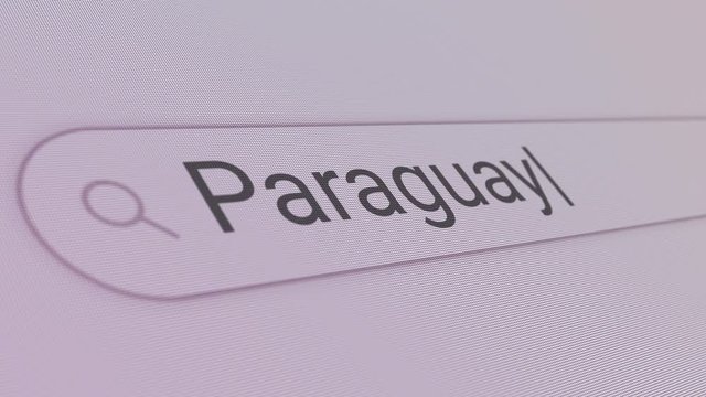 Paraguay Search Bar Close Up Single Line Typing Text Box Layout Web Database Browser Engine Concept