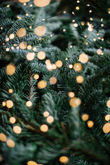 Beautiful festive spruce texture with sparkling fireflies on it, vertical bokeh view