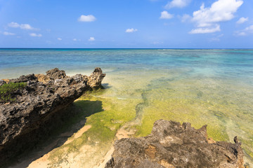 Fototapeta premium 日本最南端、沖縄県波照間島の海岸