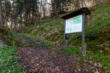 Wandern auf dem Selketalstieg im Harz