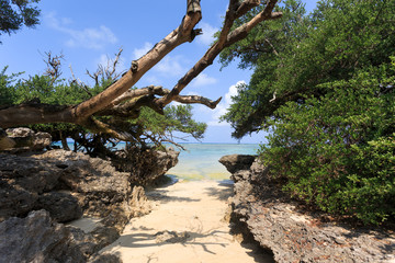 日本最南端、沖縄県波照間島の海岸