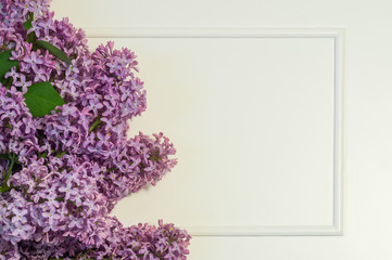 Blooming spring lilac flowers, spring background