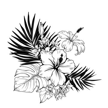 Composition with hibiscus and palm leaves. Vector botanical illustration