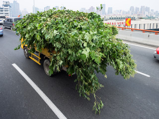 China, Shanghai, Beladener Transporter im Straßenverkehr