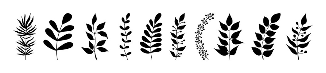 Set of black silhouettes of tropical leaves on an isolated white background. Botanical tree branches, palm leaf on the stem. Spring summer leaf. Concept design logo icons. Vector illustration. © Lapalovee