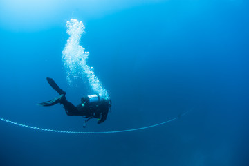 A scuba diver descends along the anchor chain of a boat off the coast of California. Diving is a...