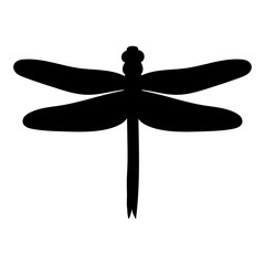 silhouette dragonfly, insect on a white background