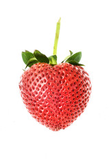 red strawberry on white background