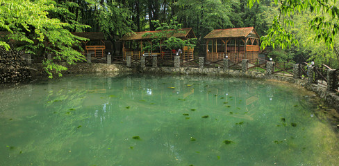 Beautiful cafe in a quiet forest.