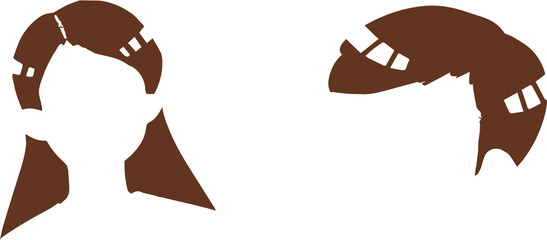 vector illustration of a hair