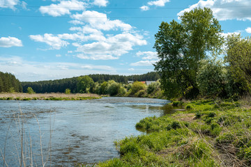 The river in the forest