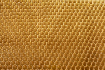  beecomb background with empty cells for honey with hexagon shapes, apiculture concept