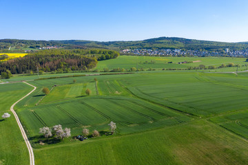 Luftaufnahme von der Landschaft im Taunus/Deutschland mit blühenden Bäumen