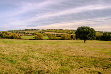 Clouded sky above the countryside and an isolated tree in Lacock, Wiltshire.