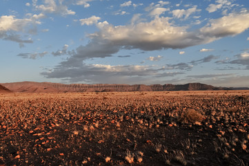 Desert Clouds at Sunset 