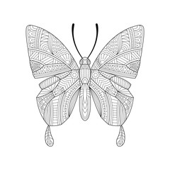Hand drawn butterfly